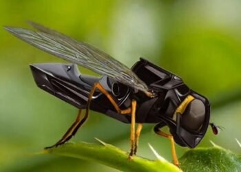 Bee Drones: 2017’s ‘Black Mirror’ Reality