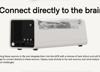$35K Biocomputer Merges Human Brain Cells & Silicon