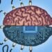 Can We Upload Minds? Neuroscientist Weighs In